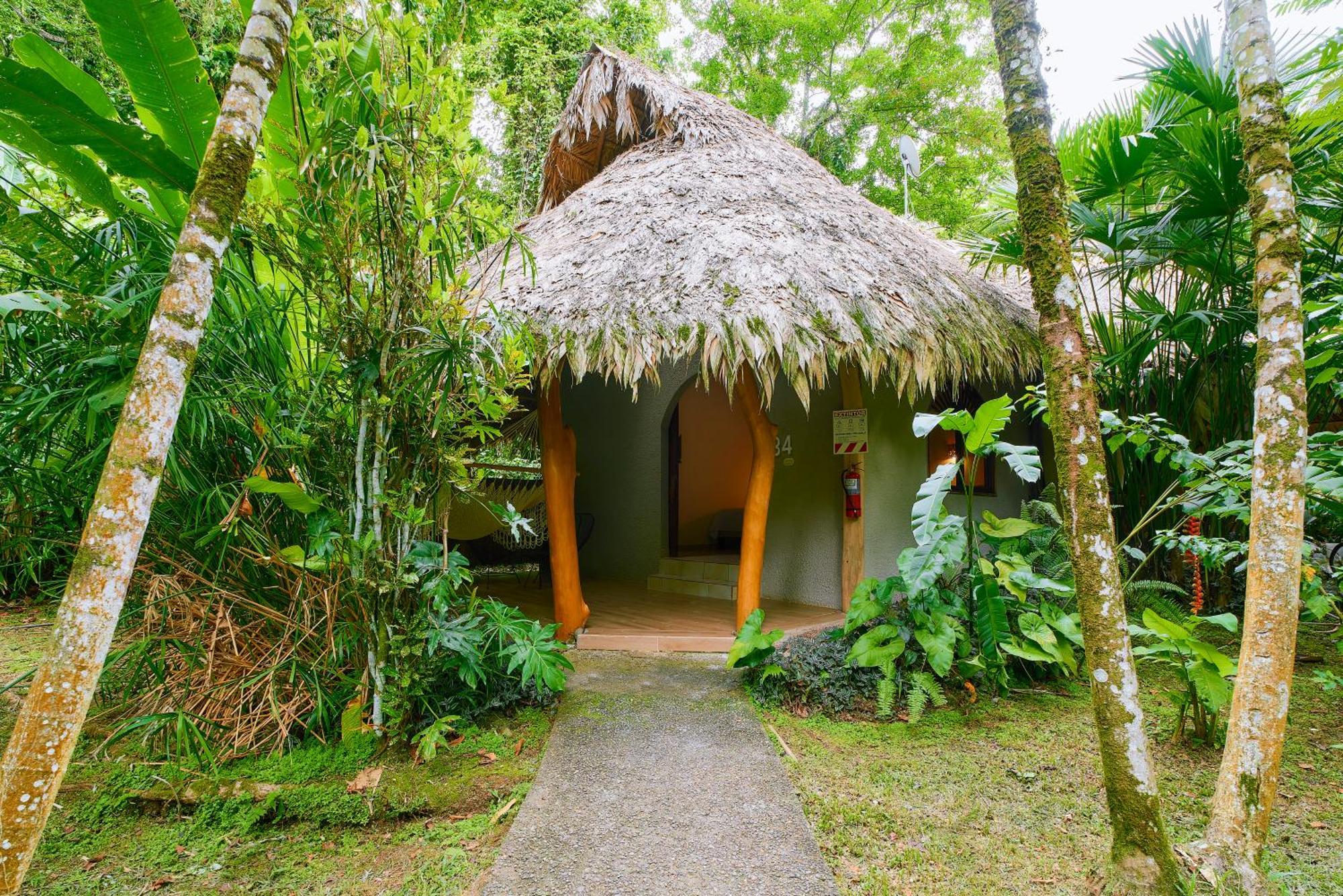 Cariblue Beach And Jungle Resort Puerto Viejo de Talamanca Номер фото